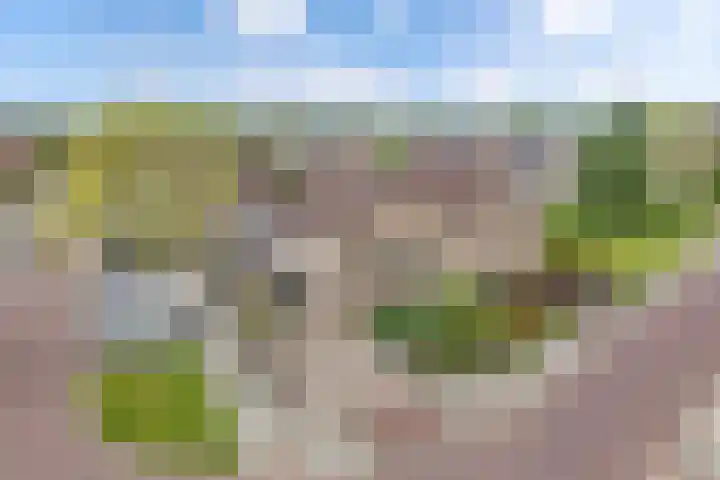 Meijerij 1 Emmeloord thumbnail 9