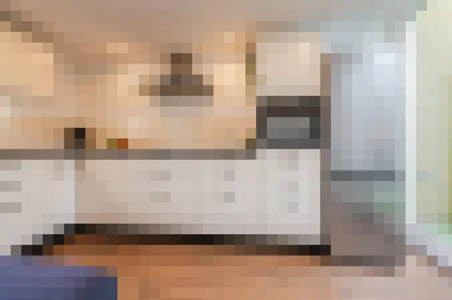 Meijerijgaarde 12 Veghel thumbnail 17