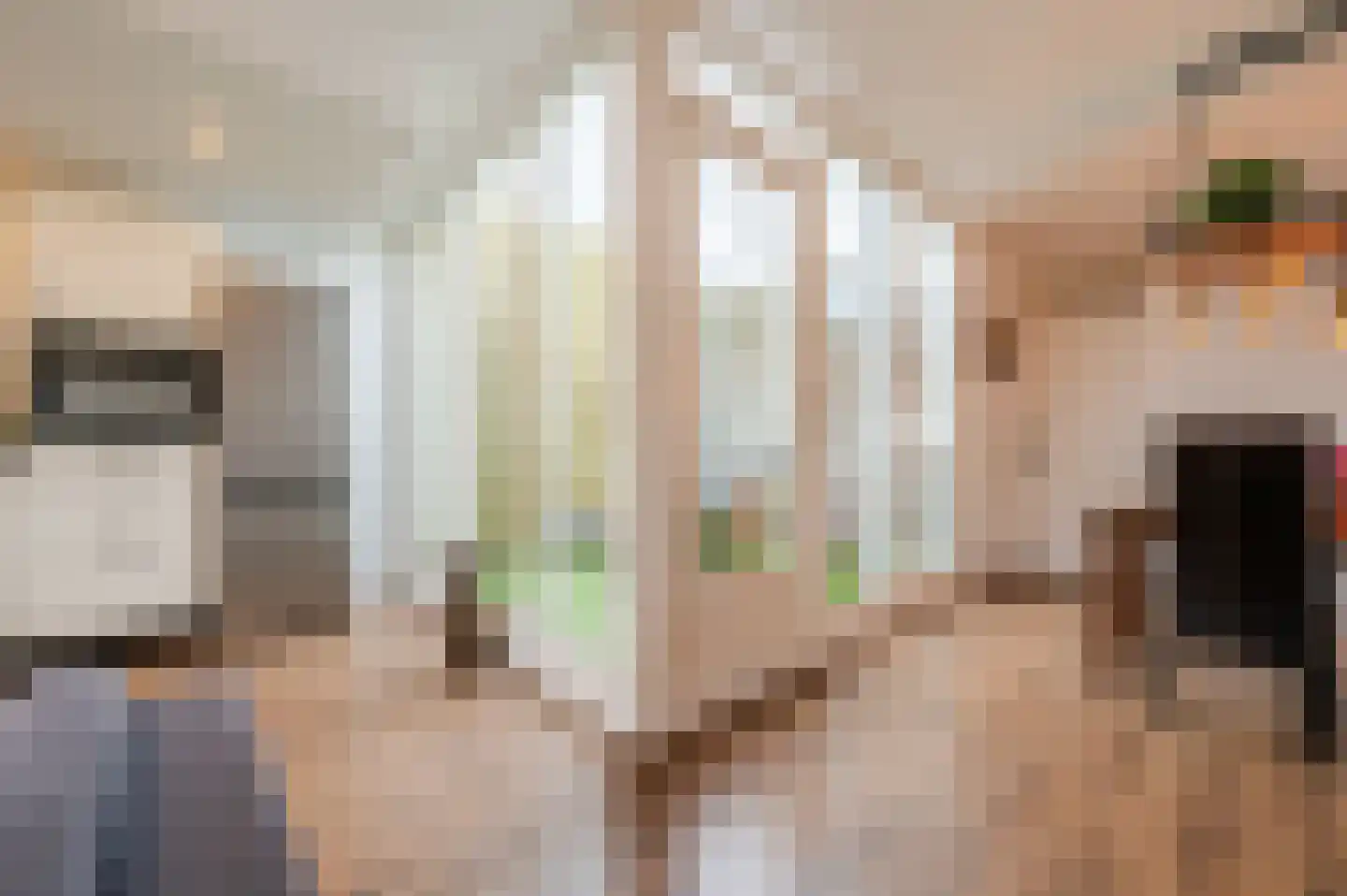Meijerijgaarde 12 Veghel thumbnail 18