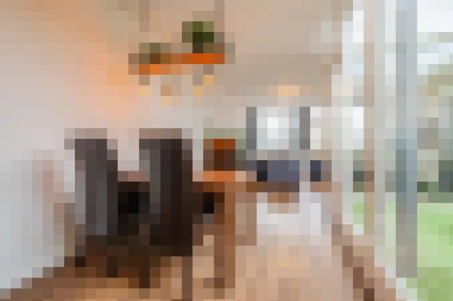 Meijerijgaarde 12 Veghel thumbnail 19