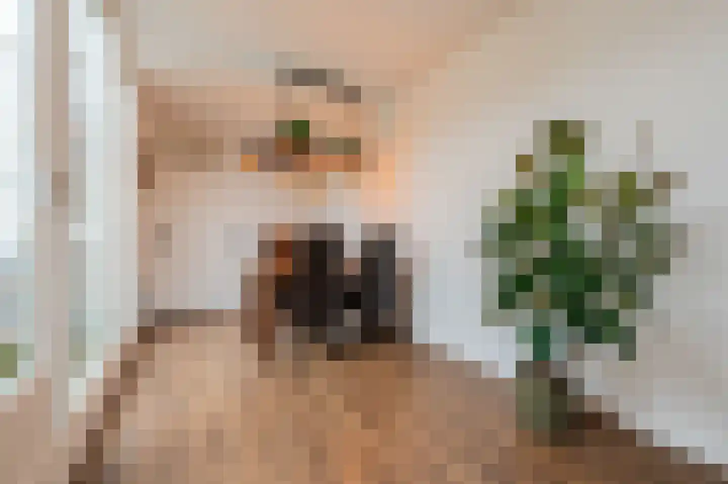 Meijerijgaarde 12 Veghel thumbnail 20