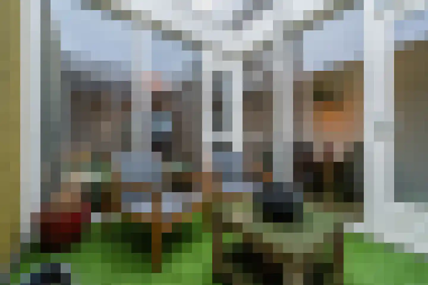 Meijerijgaarde 12 Veghel thumbnail 21