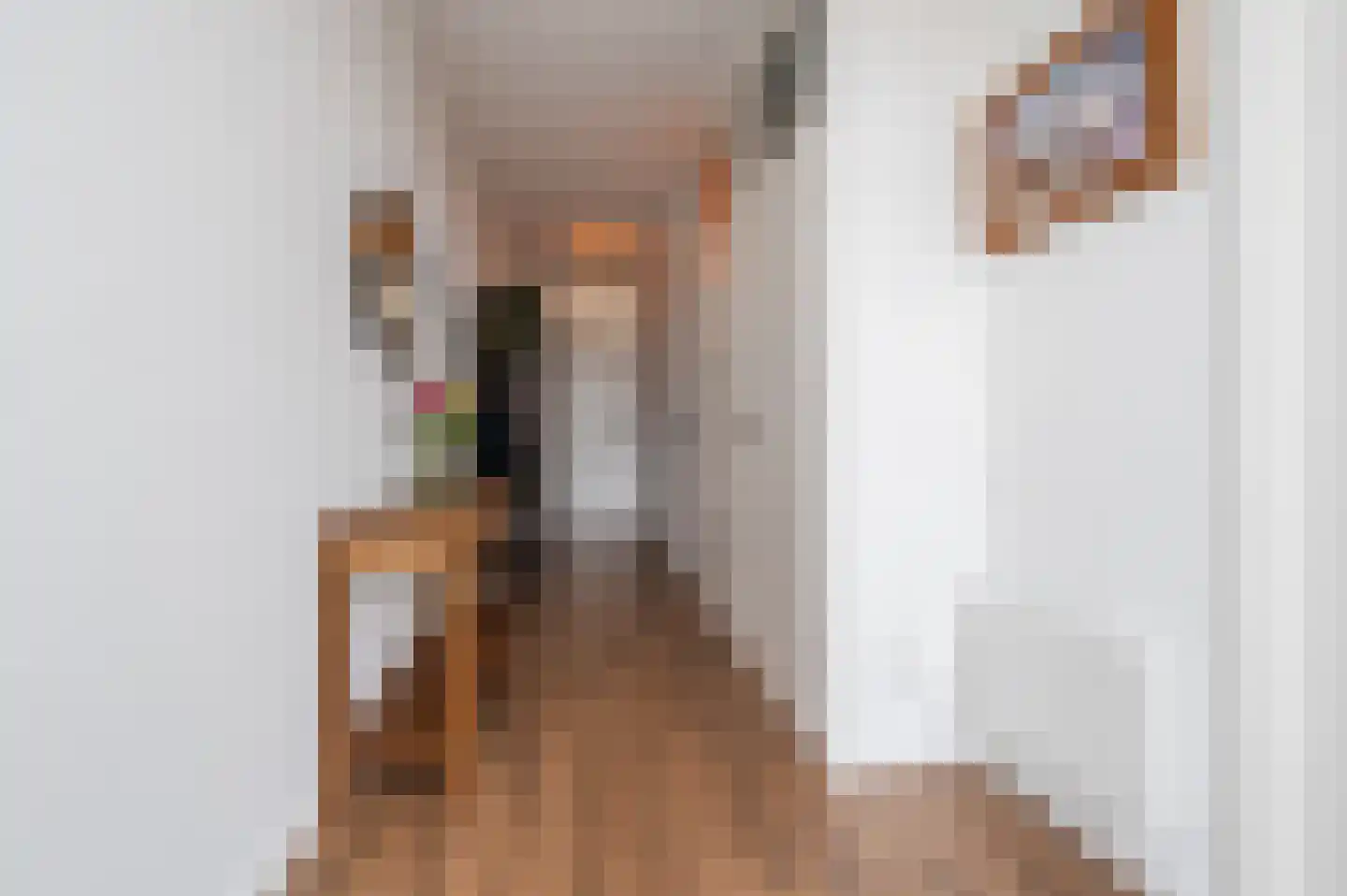 Meijerijgaarde 12 Veghel thumbnail 22