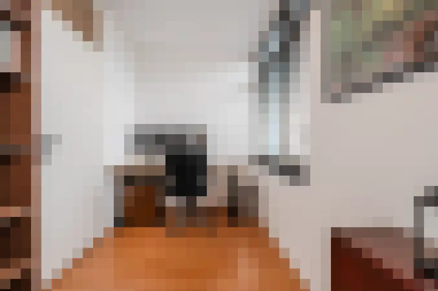 Meijerijgaarde 12 Veghel thumbnail 25