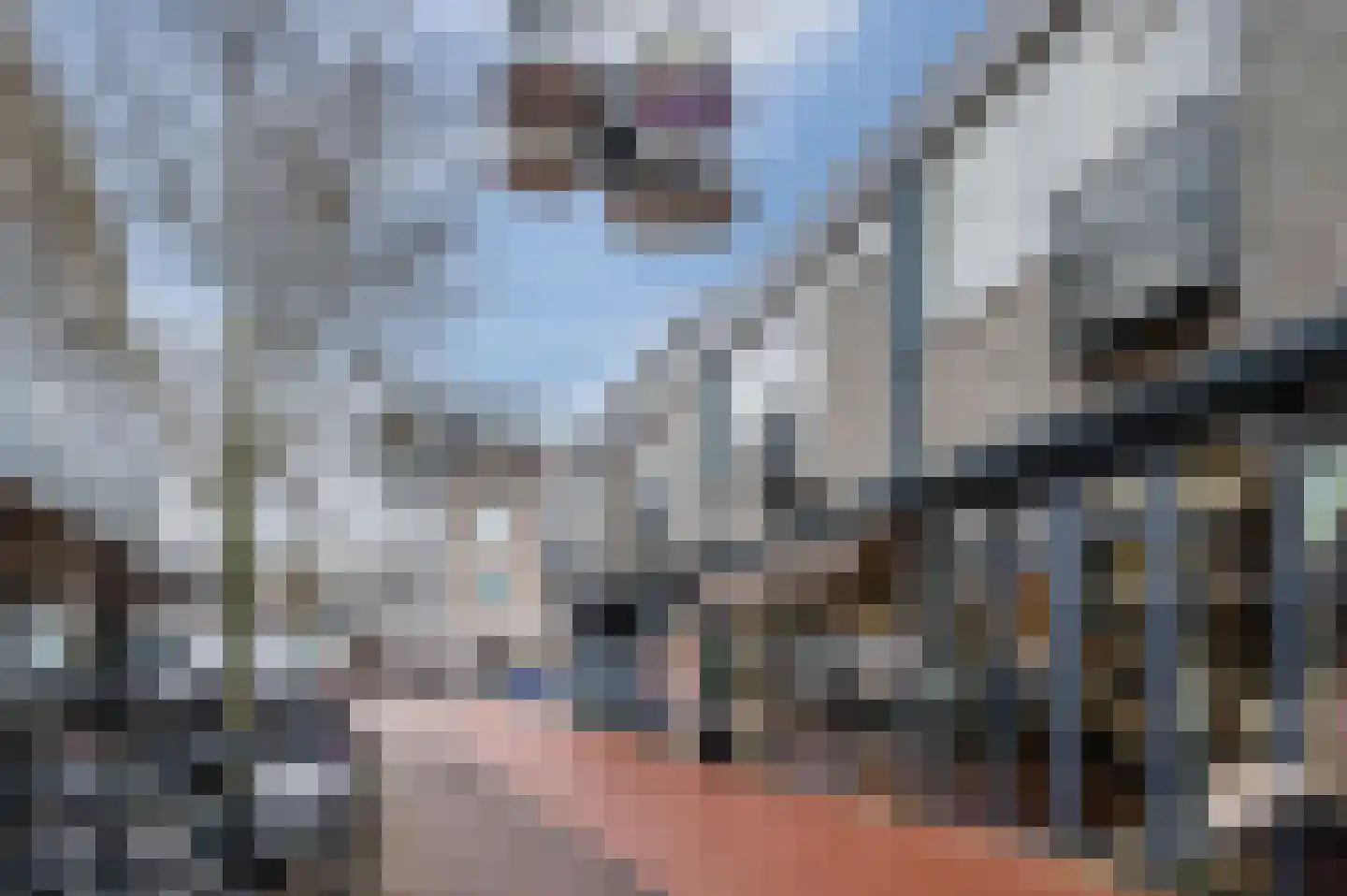 Meijerijgaarde 12 Veghel thumbnail 33