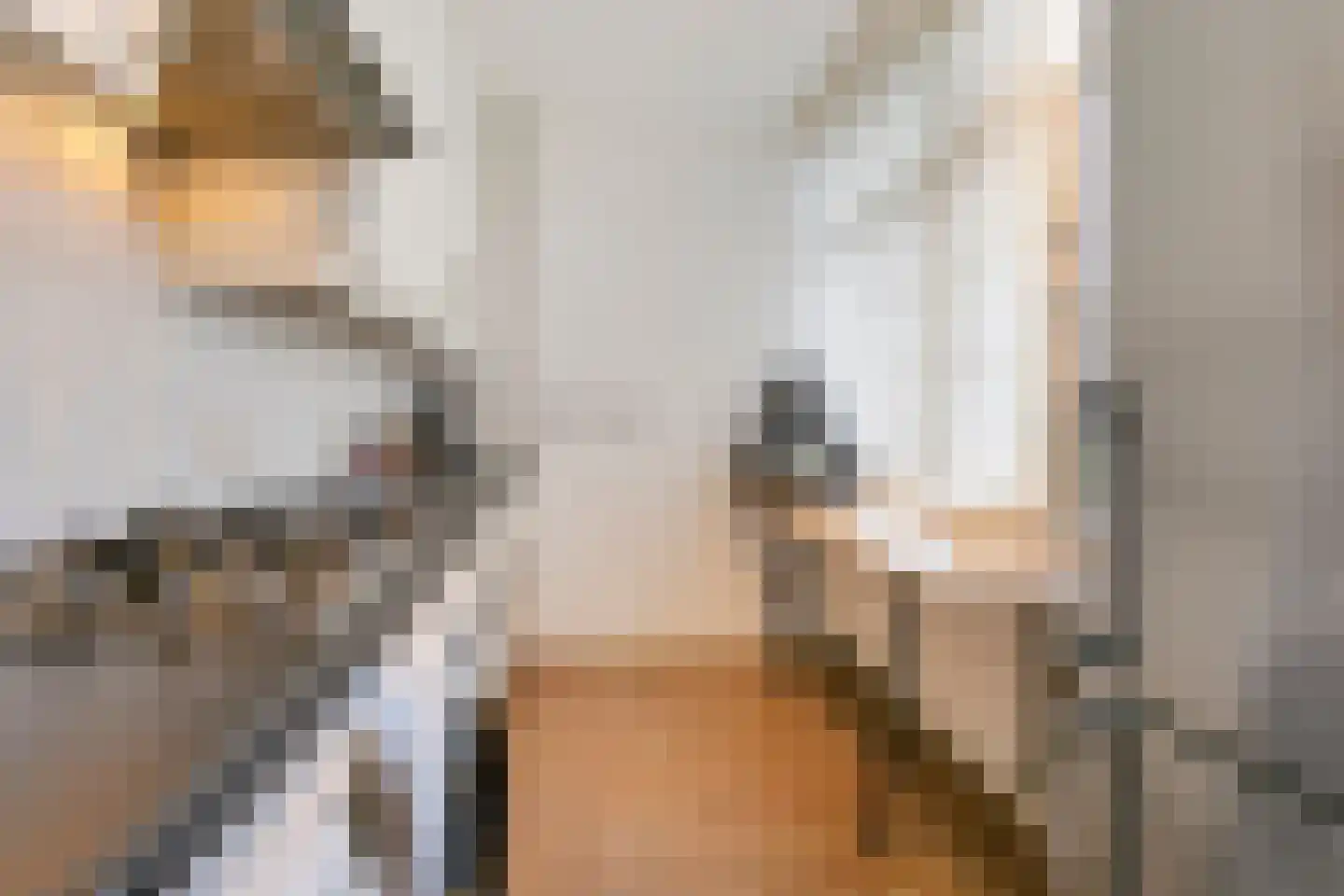 Meijerijgaarde 22 Veghel thumbnail 11
