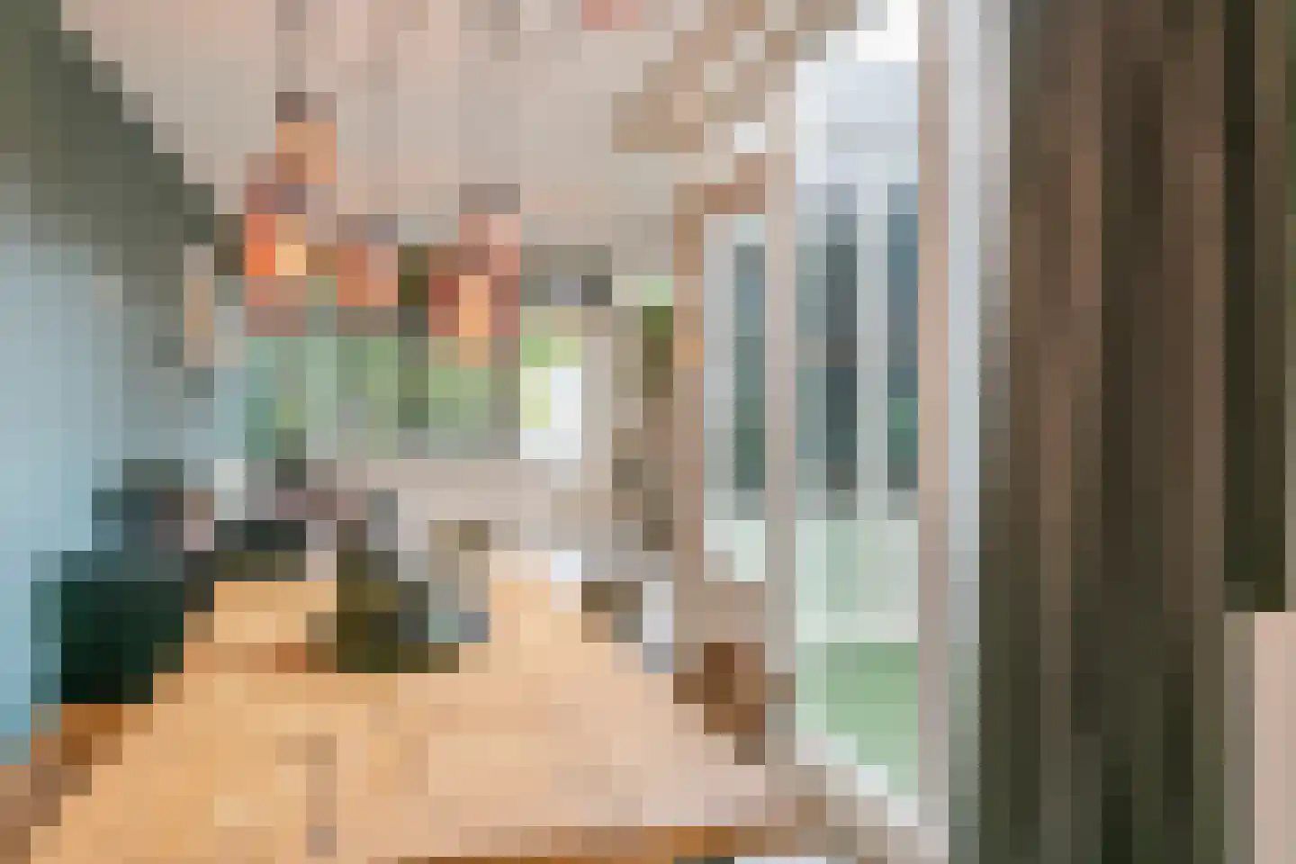 Meijerijgaarde 22 Veghel thumbnail 12