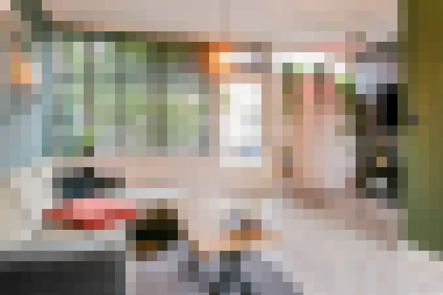 Meijerijgaarde 22 Veghel foto 3