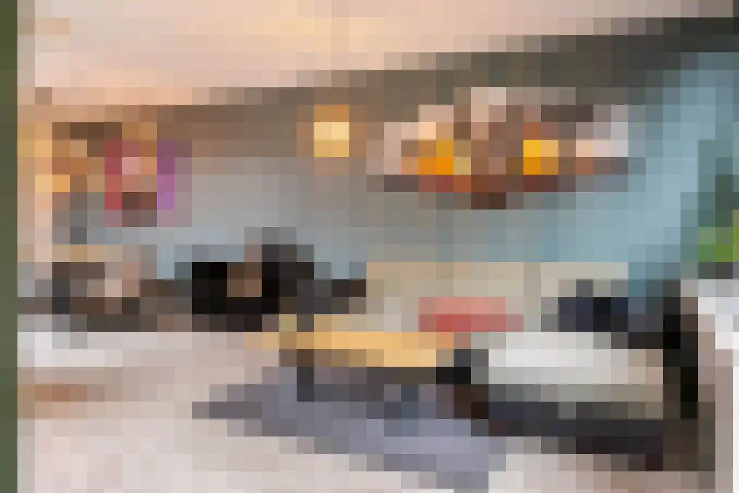 Meijerijgaarde 22 Veghel thumbnail 4