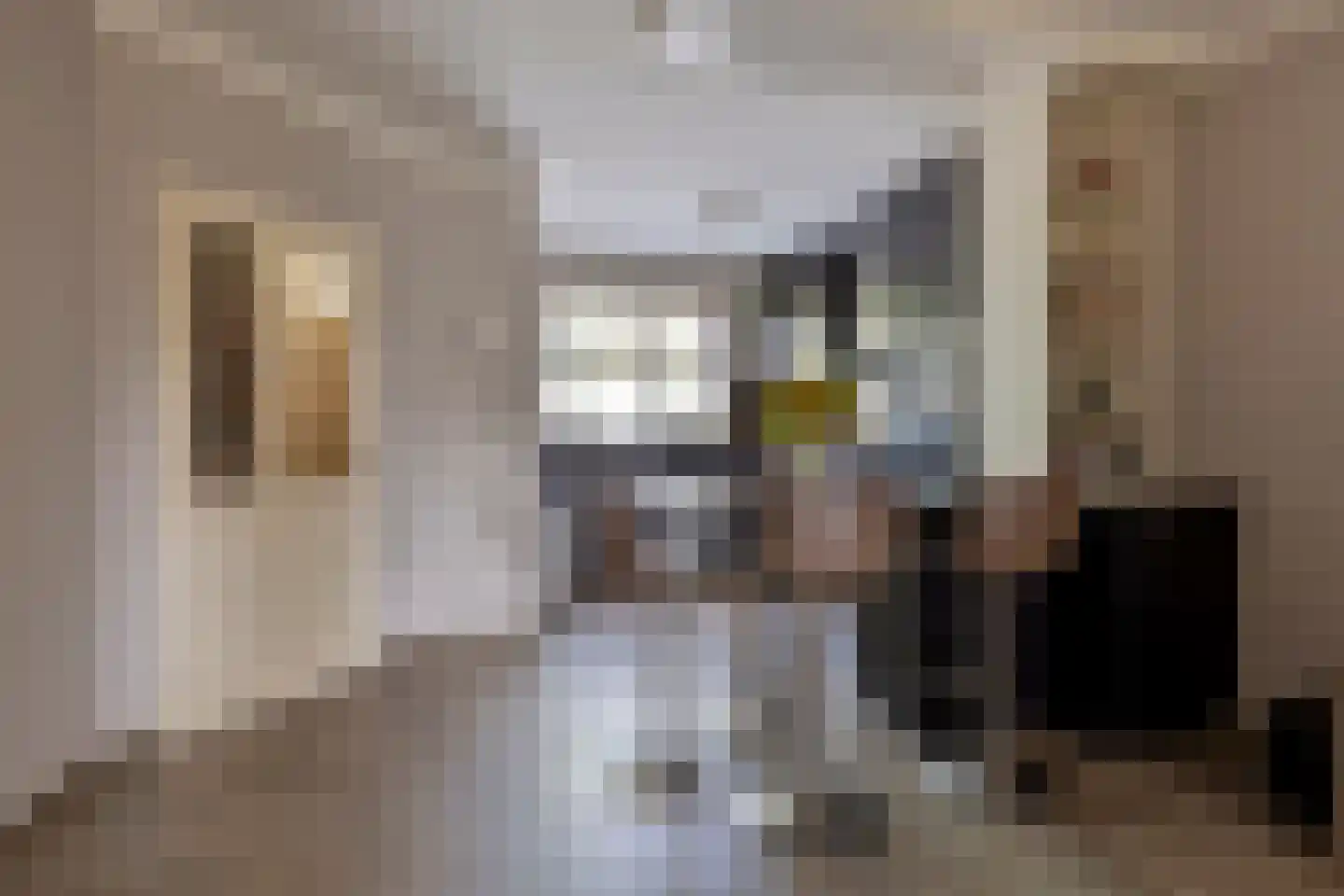 Meijerijhof 12 Helmond thumbnail 11
