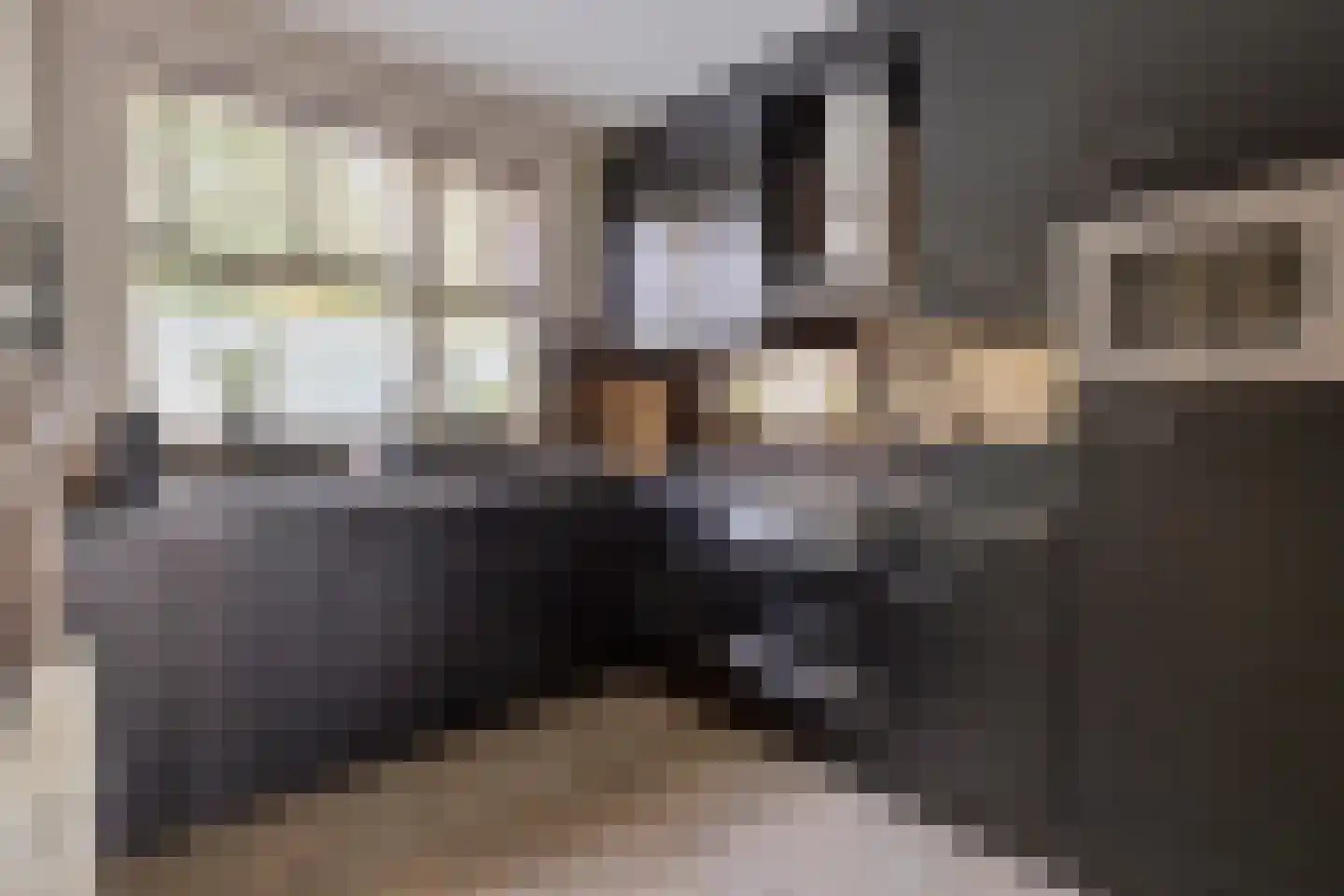 Meijerijhof 12 Helmond thumbnail 12