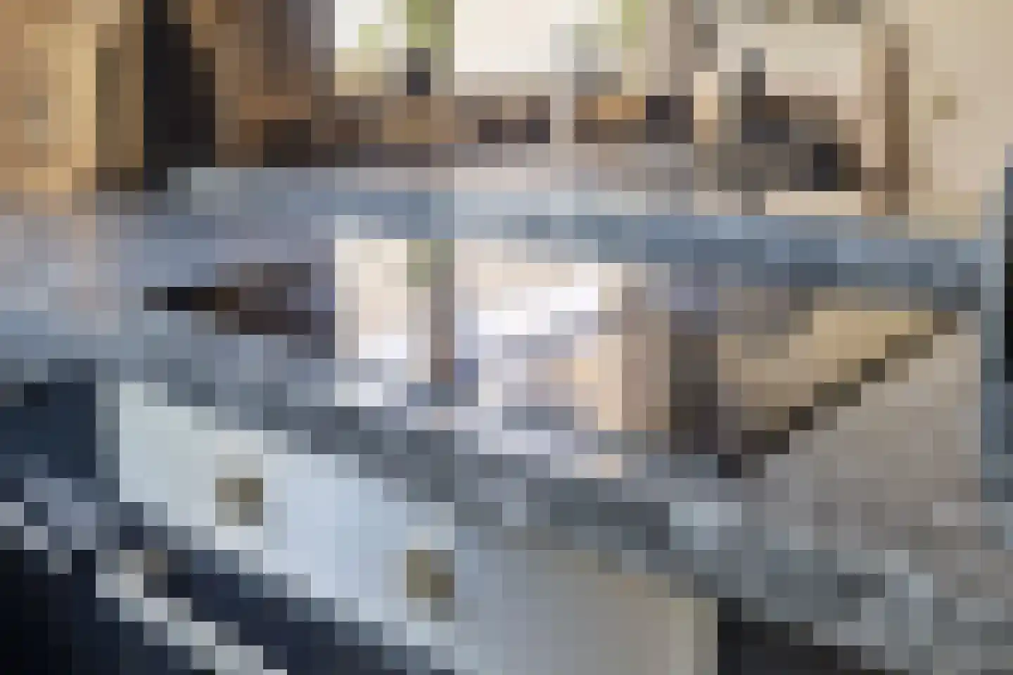 Meijerijhof 12 Helmond thumbnail 14
