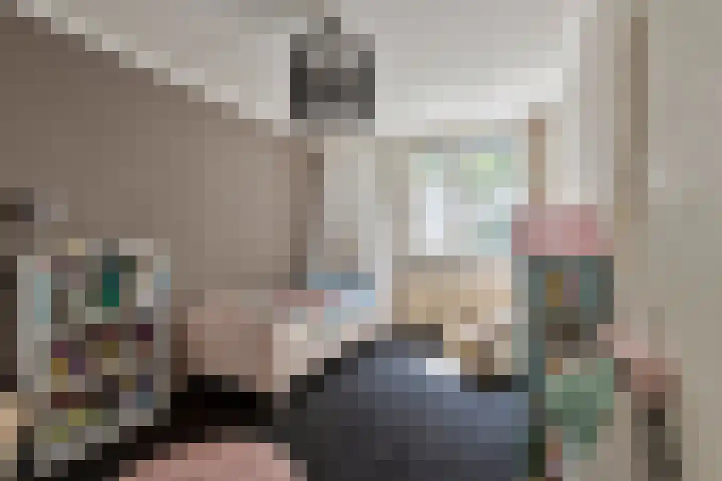 Meijerijhof 12 Helmond thumbnail 18