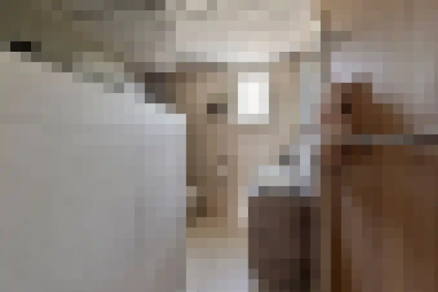 Meijerijhof 12 Helmond thumbnail 20
