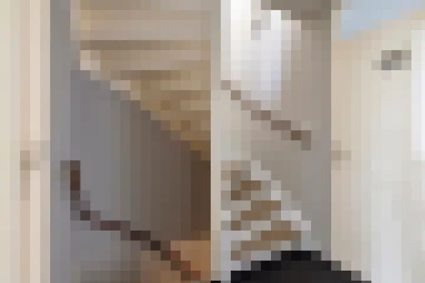 Meijerijhof 12 Helmond thumbnail 25