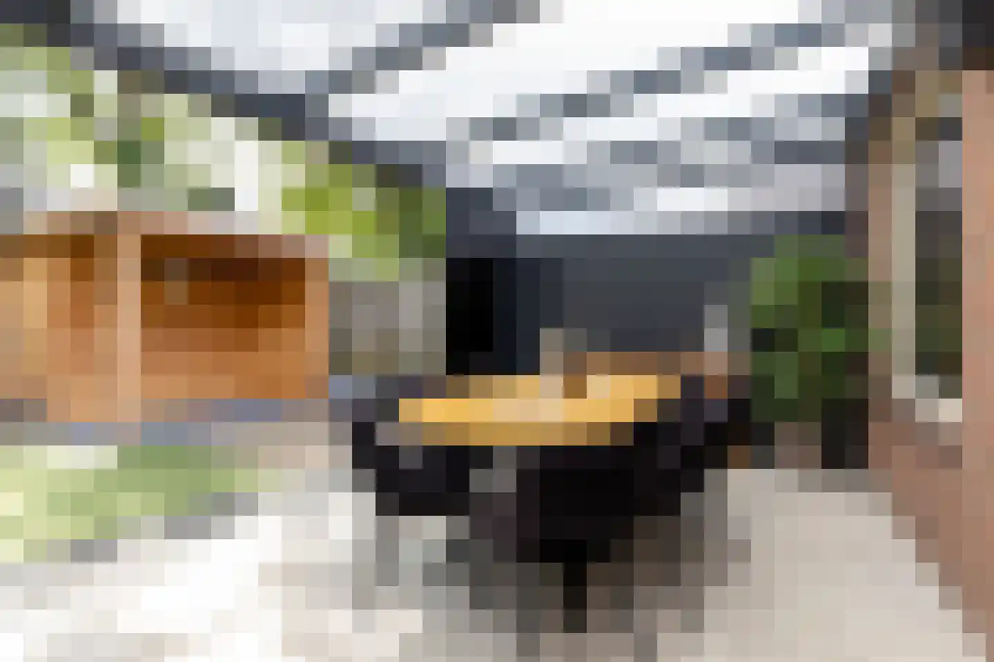 Meijerijhof 12 Helmond thumbnail 30