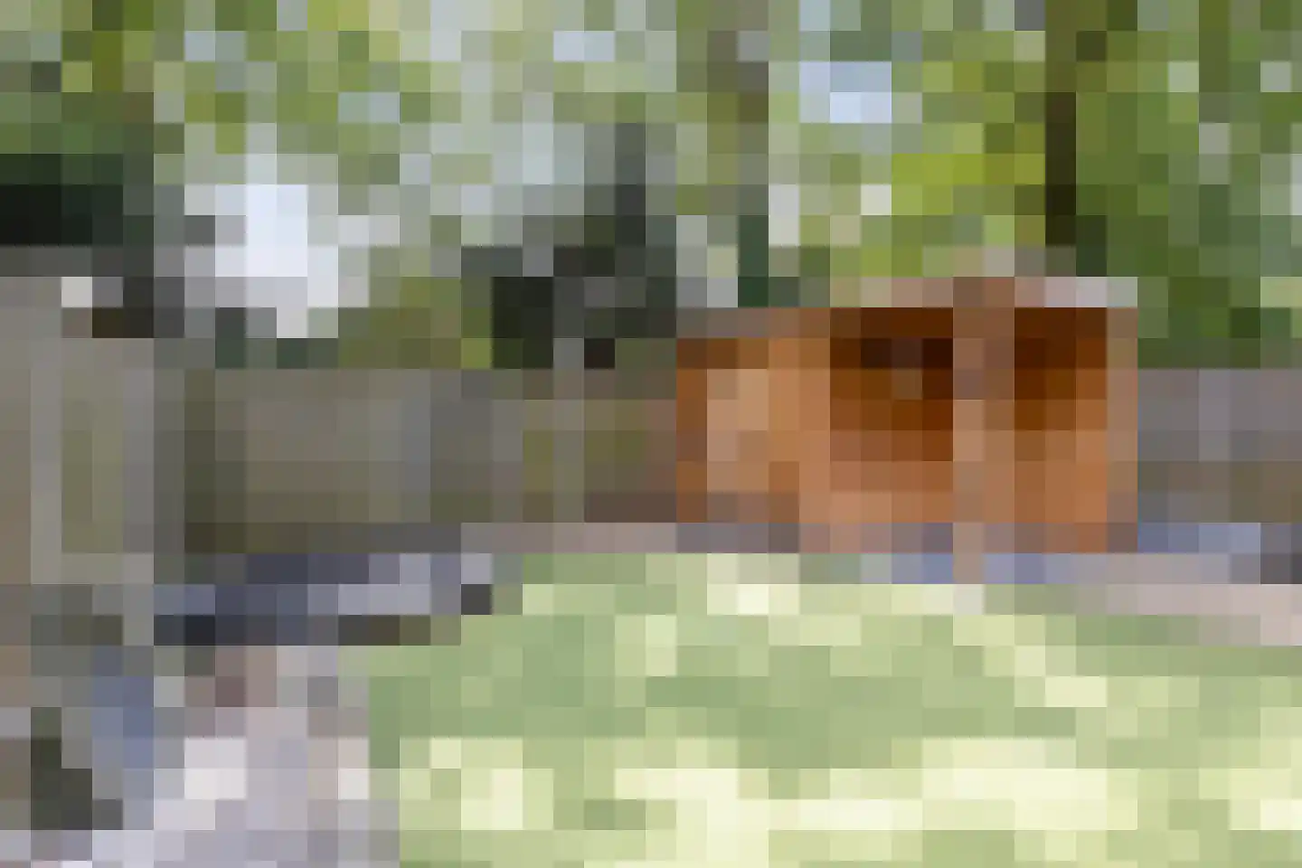 Meijerijhof 12 Helmond thumbnail 34