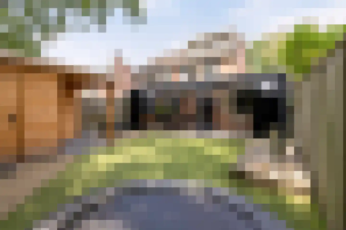 Meijerijhof 12 Helmond thumbnail 35