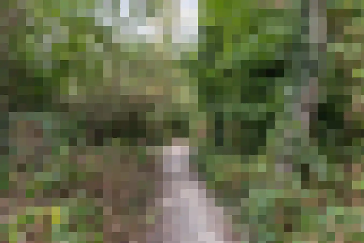 Meijerijhof 12 Helmond thumbnail 37
