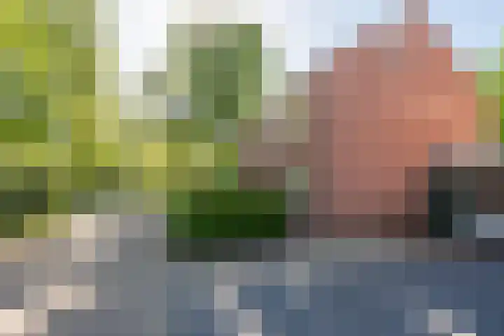 Meijerijhof 14 Helmond thumbnail 10