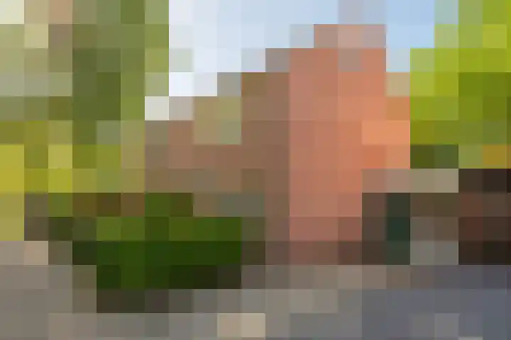 Meijerijhof 14 Helmond thumbnail 11