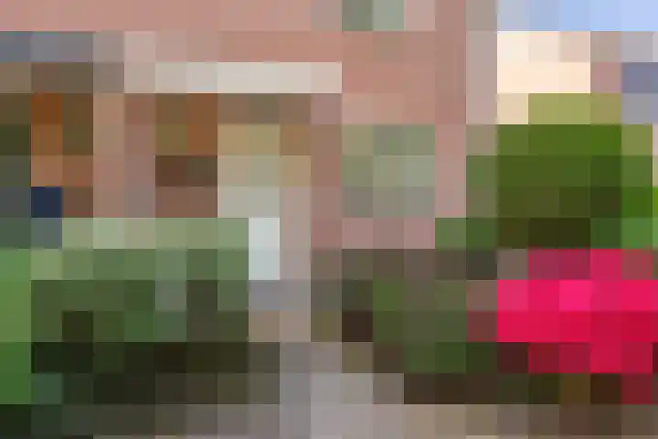 Meijerijhof 14 Helmond thumbnail 12