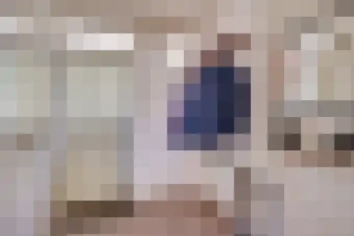 Meijerijhof 14 Helmond thumbnail 14