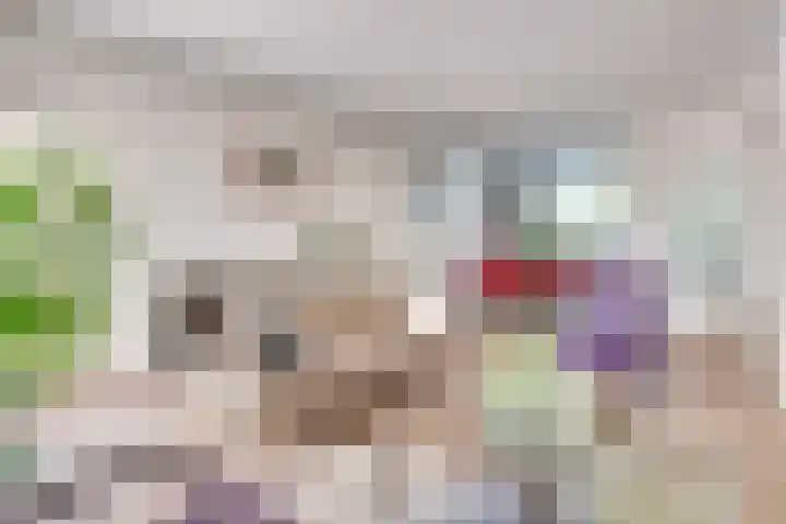Meijerijhof 14 Helmond thumbnail 16
