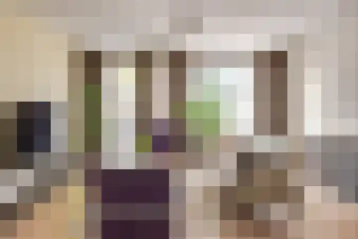 Meijerijhof 14 Helmond thumbnail 17