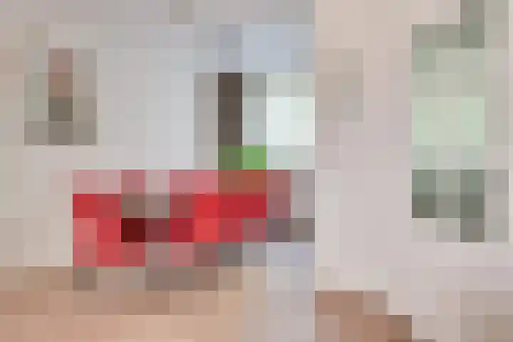 Meijerijhof 14 Helmond thumbnail 18
