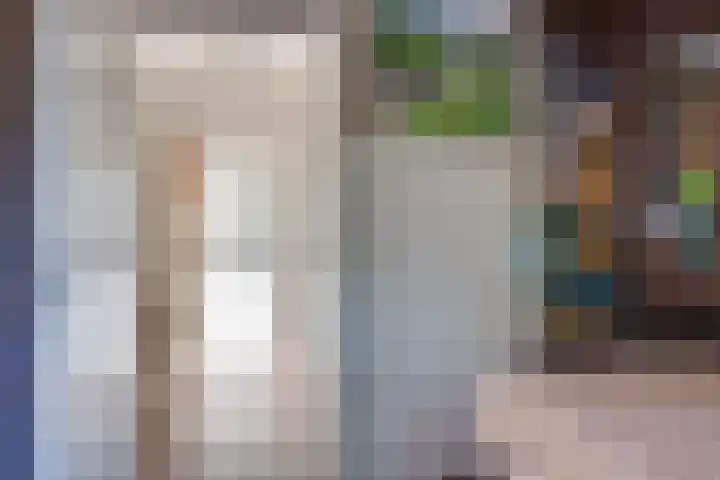 Meijerijhof 14 Helmond thumbnail 21