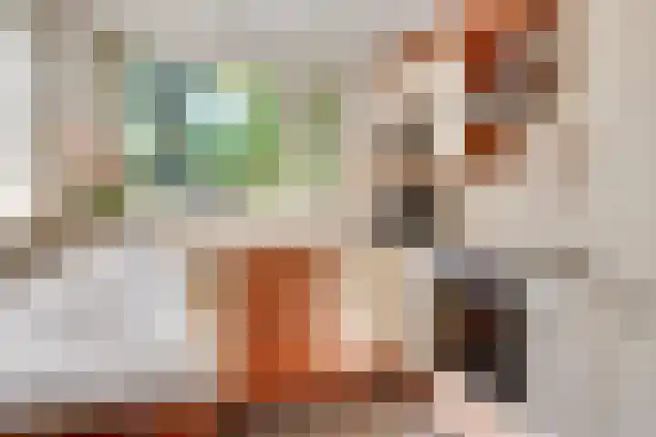Meijerijhof 14 Helmond thumbnail 23