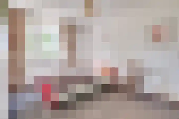 Meijerijhof 14 Helmond thumbnail 30