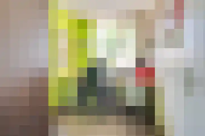 Meijerijhof 14 Helmond thumbnail 31