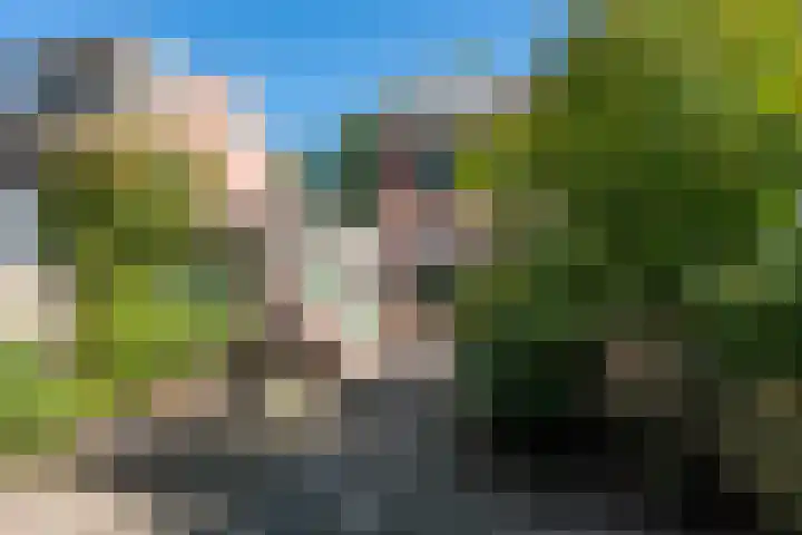 Meijerijhof 14 Helmond thumbnail 38