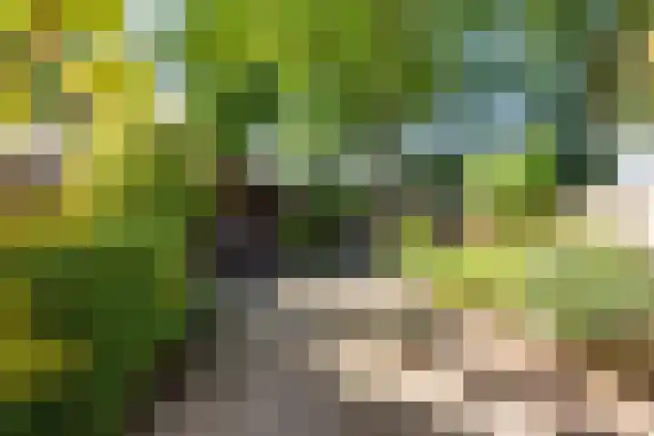 Meijerijhof 14 Helmond thumbnail 40