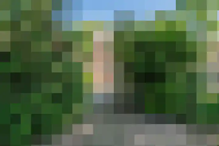 Meijerijhof 14 Helmond thumbnail 43