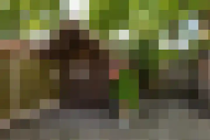 Meijerijhof 14 Helmond thumbnail 45