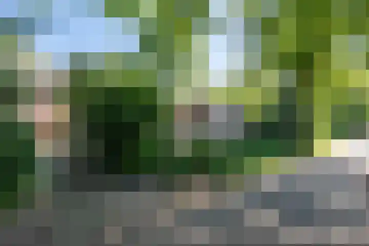Meijerijhof 14 Helmond thumbnail 46