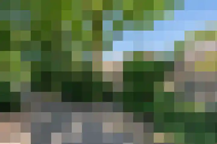 Meijerijhof 14 Helmond thumbnail 47