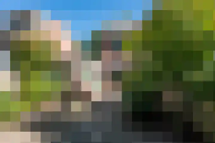 Meijerijhof 14 Helmond thumbnail 6