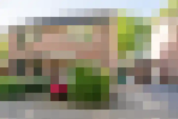 Meijerijhof 14 Helmond thumbnail 8