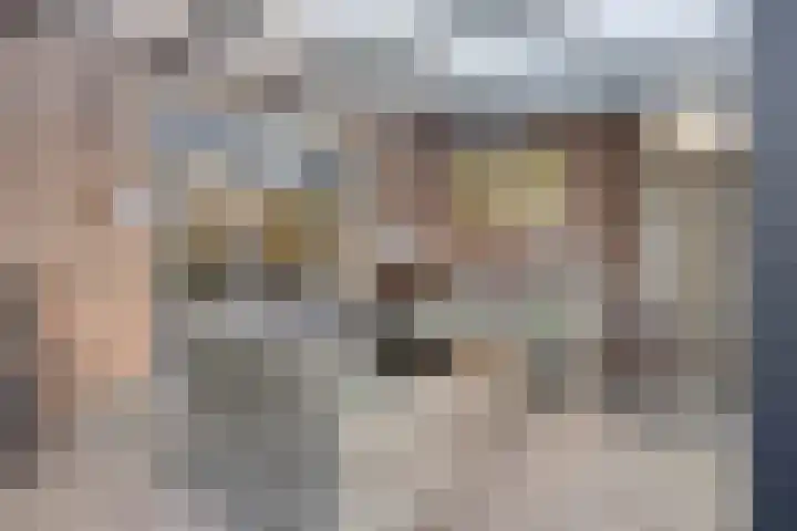Meijerijhof 24 Helmond thumbnail 11