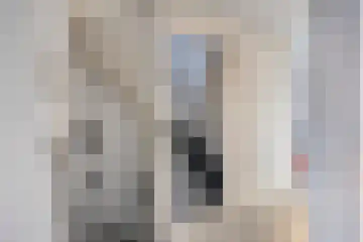 Meijerijhof 24 Helmond thumbnail 12