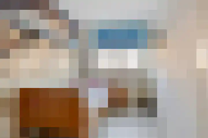 Meijerijhof 24 Helmond thumbnail 17
