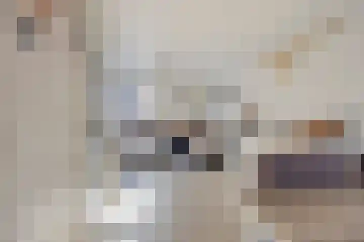 Meijerijhof 24 Helmond thumbnail 7