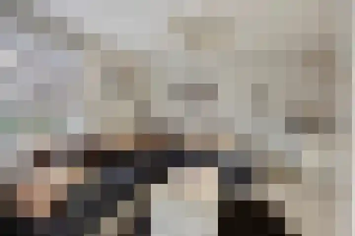 Meijerijhof 24 Helmond thumbnail 8