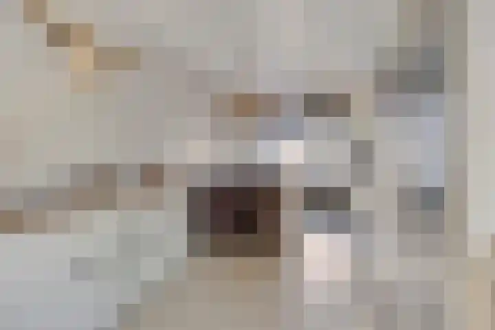 Meijerijhof 24 Helmond thumbnail 9