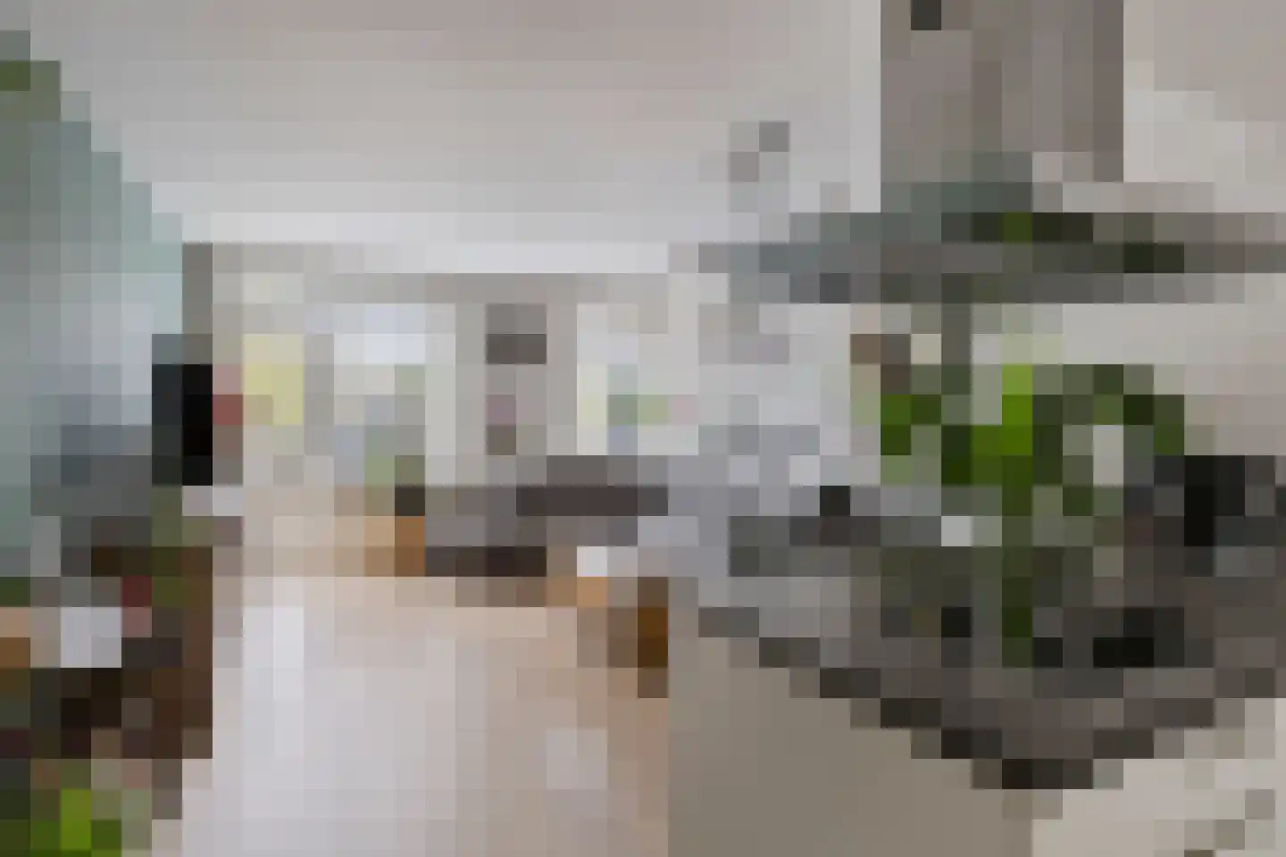 Meijerijstraat 11 Veghel thumbnail 12