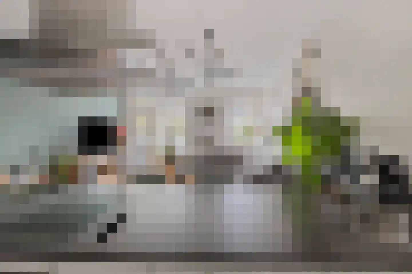 Meijerijstraat 11 Veghel thumbnail 20